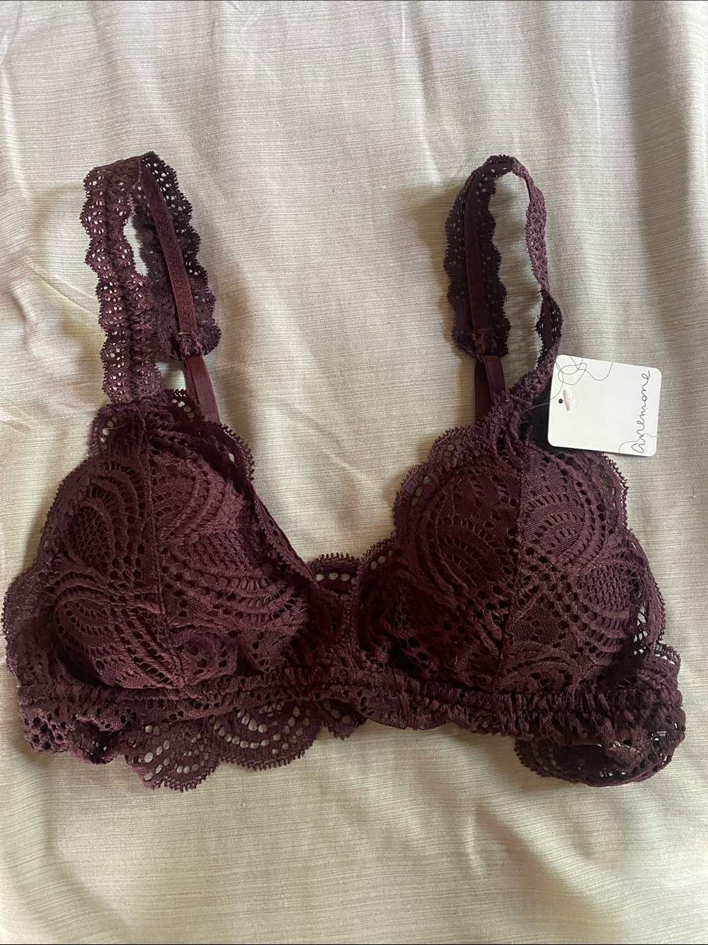 Anemone Lace Bralette in Deep Wine